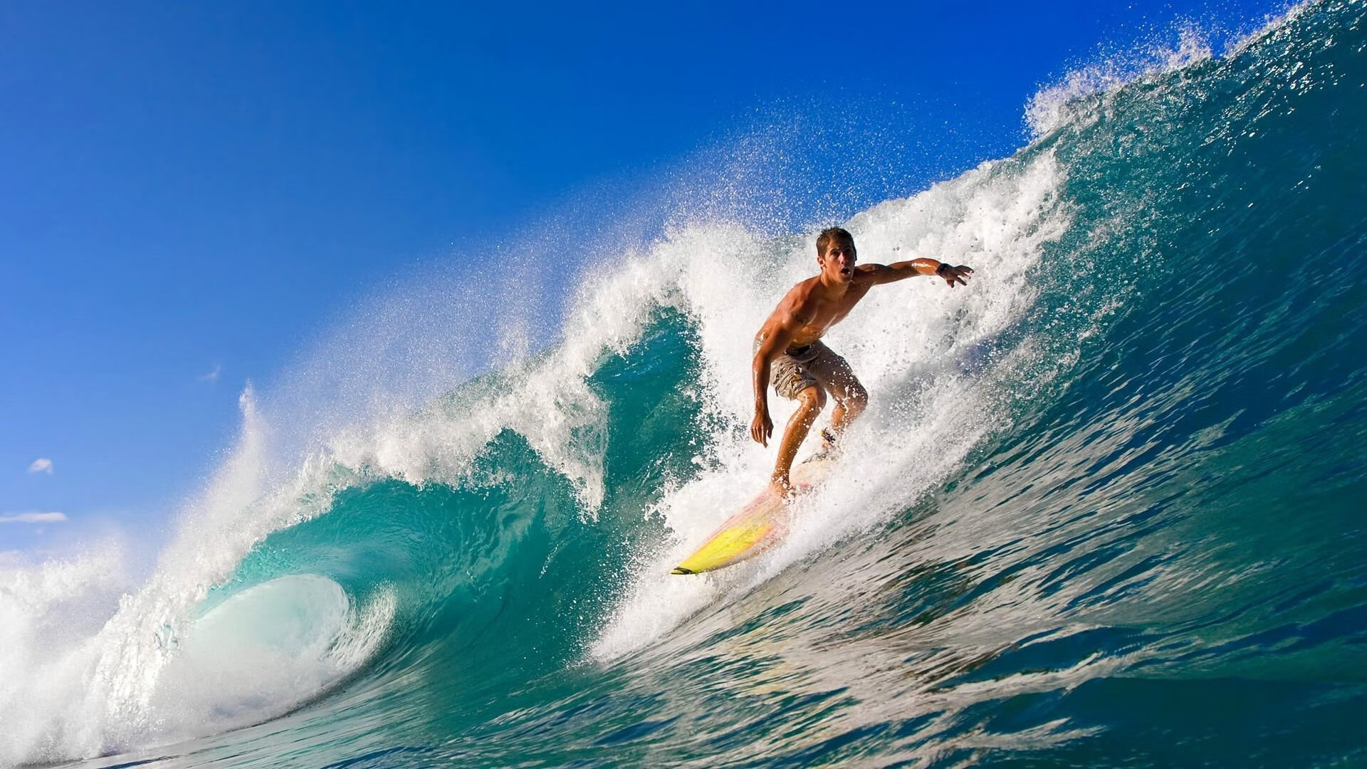 失误要命！上海队整场失误达20次，败局提前揭晓！，上海队夺冠
