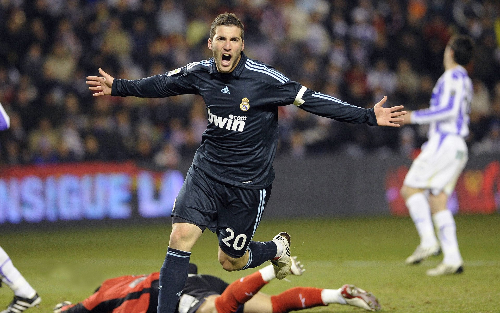 粉丝投票：你最期待哪个车手夺冠？，最佳车手投票